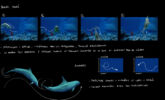 STORYBOARD DAUPHINS 100 CONCEPT NH