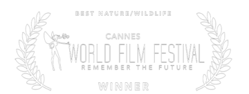 LOGO Cannes WORLDFILMFESTIVAL original