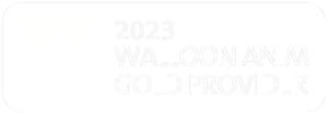LOGO WALLOON GOLD 2023 Web