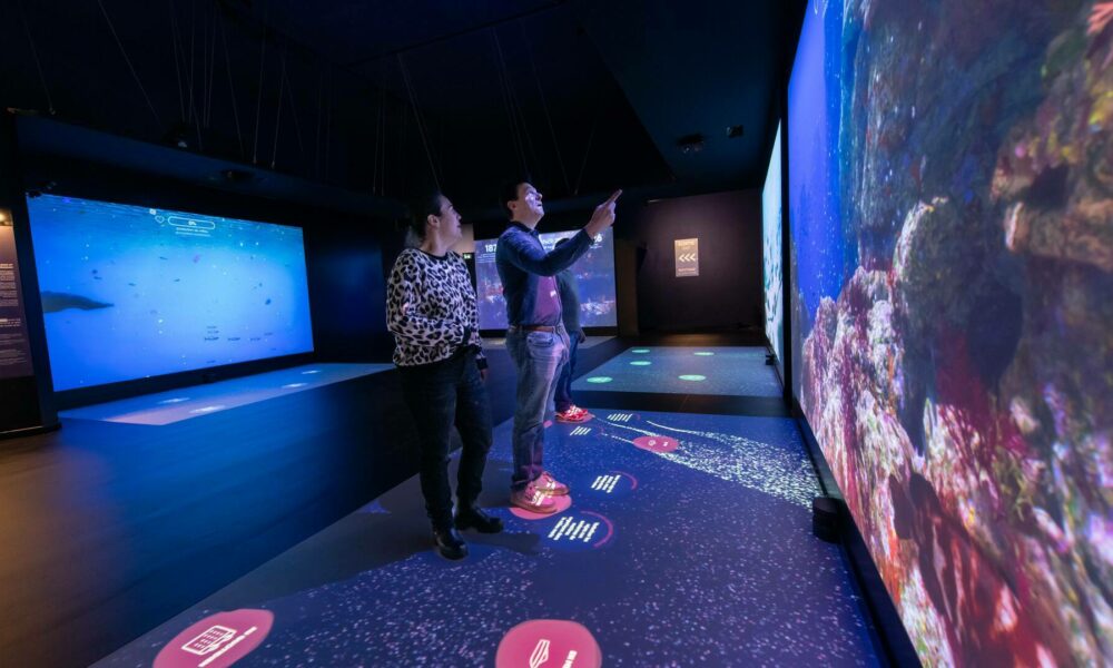 Exposition Mediterranée 2050 20250325 Musee oceanograpique Monaco salle engagemente Institut oceanographique Monaco Frederic Pacorel