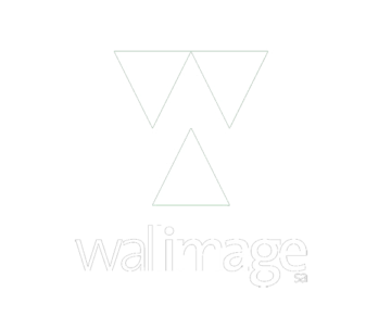 LOGO WALLIMAGE Web
